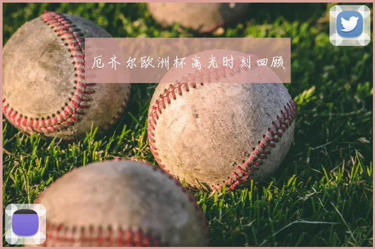 厄齐尔欧洲杯高光时刻回顾