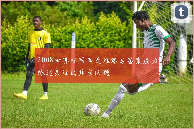 2008世界杯冠军是谁赛后答案成为球迷关注的焦点问题