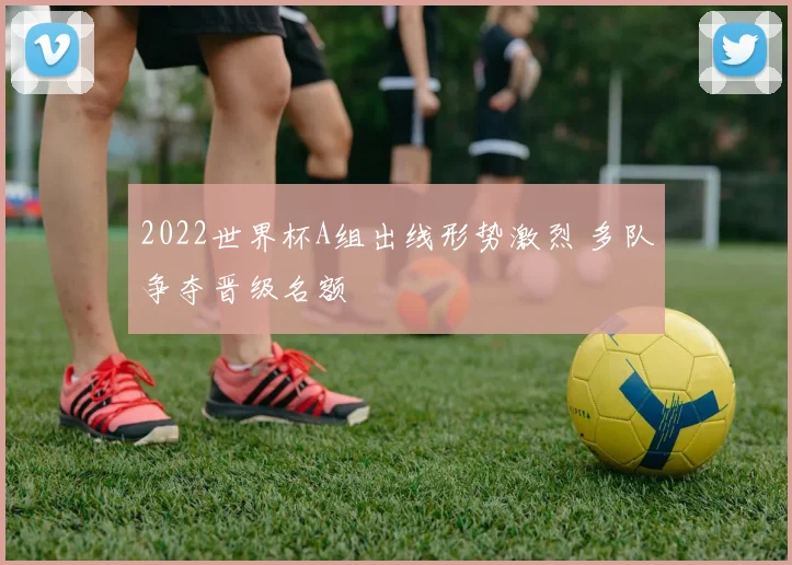 2022世界杯A组出线形势激烈 多队争夺晋级名额