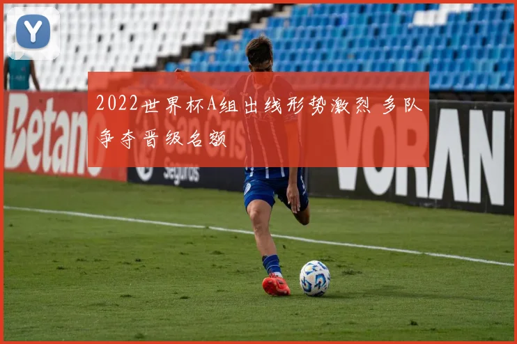 2022世界杯A组出线形势激烈 多队争夺晋级名额