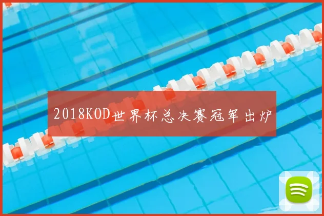 2018KOD世界杯总决赛冠军出炉
