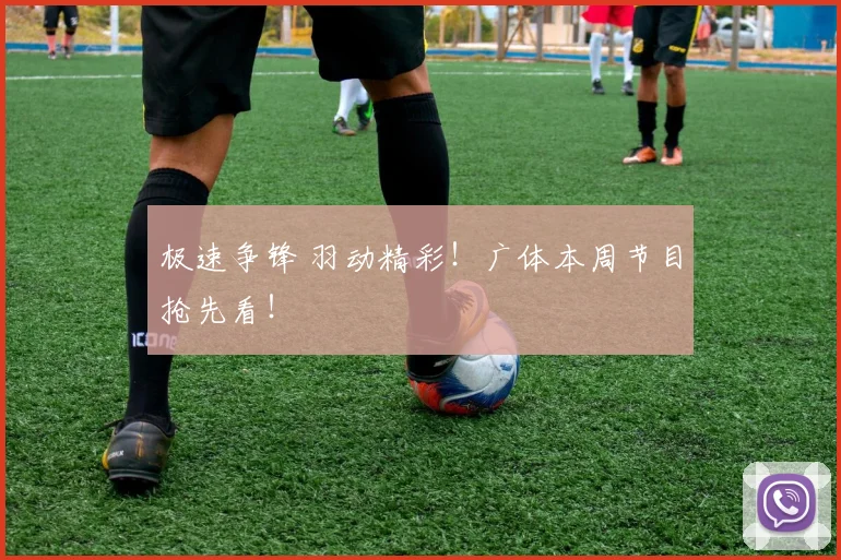 极速争锋 羽动精彩！广体本周节目抢先看！
