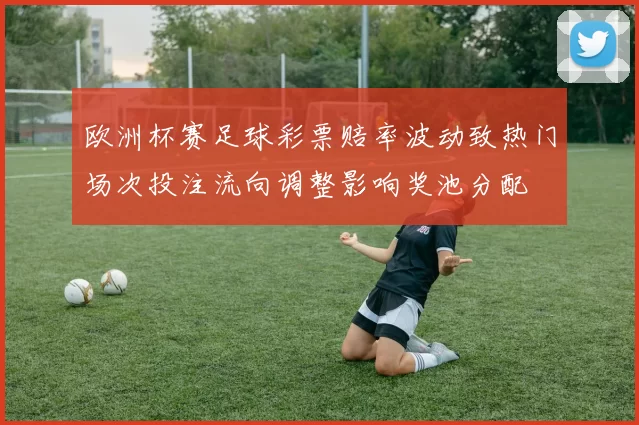 欧洲杯赛足球彩票赔率波动致热门场次投注流向调整影响奖池分配