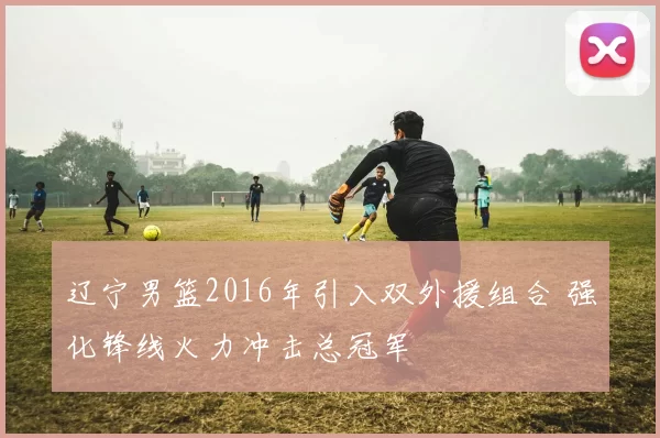 辽宁男篮2016年引入双外援组合 强化锋线火力冲击总冠军