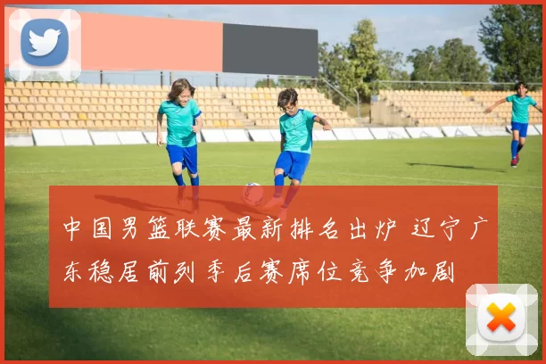 中国男篮联赛最新排名出炉 辽宁广东稳居前列季后赛席位竞争加剧