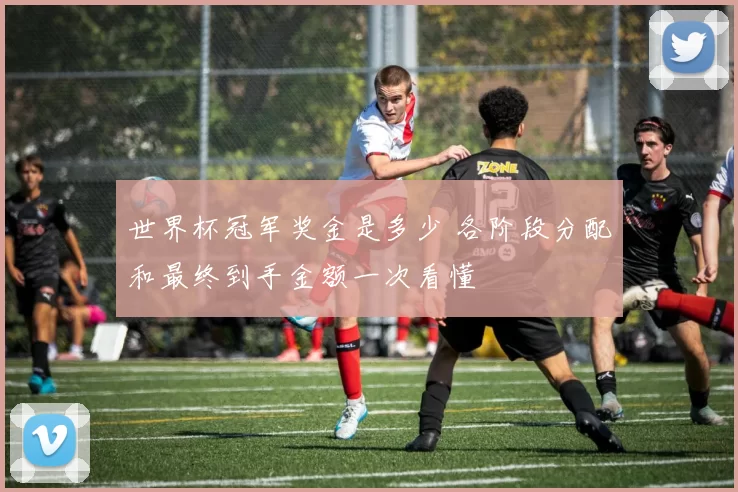 世界杯冠军奖金是多少 各阶段分配和最终到手金额一次看懂
